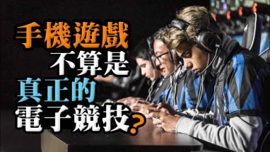 乐鱼电竞技巧app软件功能