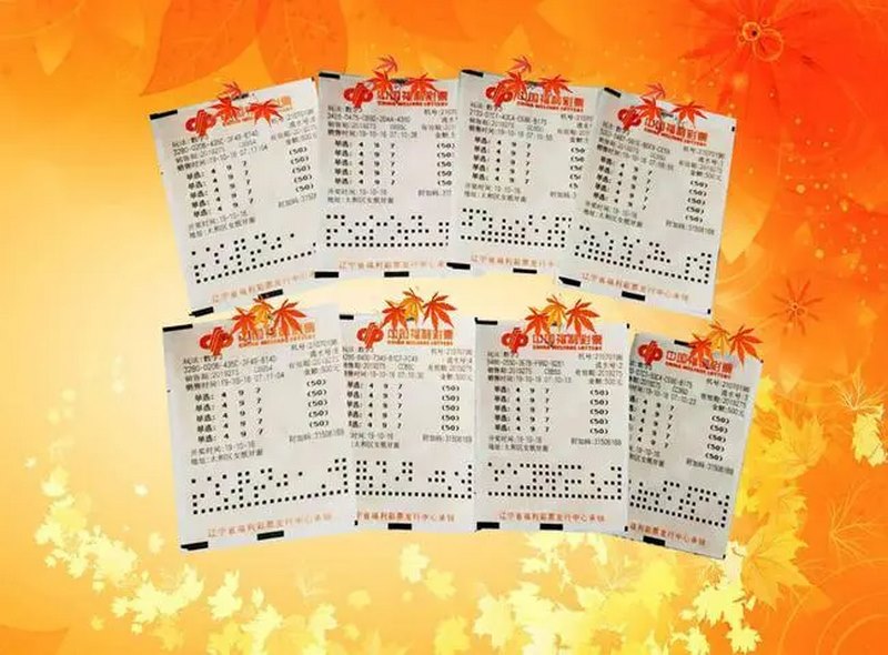 福彩3D彩票-最流行的彩票游戏之一 4 主要规则