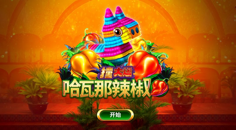 撞大运哈瓦那辣椒